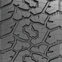 CATCHFORS AT II (4).png