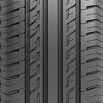 CATCHFORS PCR (4).png