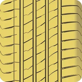 ADVANFORS HP (2).webp