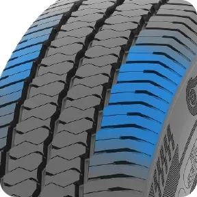 ADVANFORS MAX (1).webp