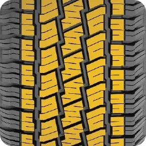 CATCHFORS MAX (2).webp