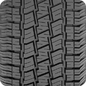 CATCHFORS MAX (4).webp