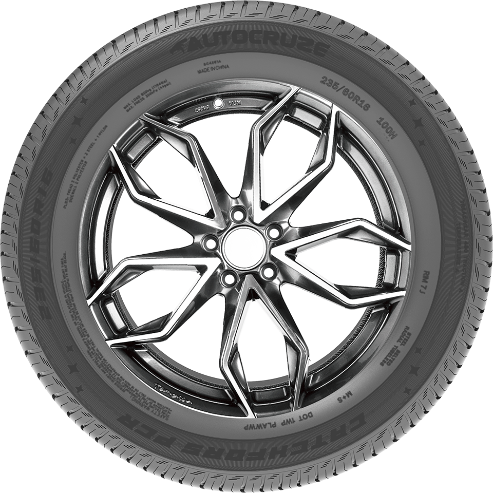 Catch Fors PCR-效果图1.png